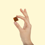 WonderBee + Mushroom Chews